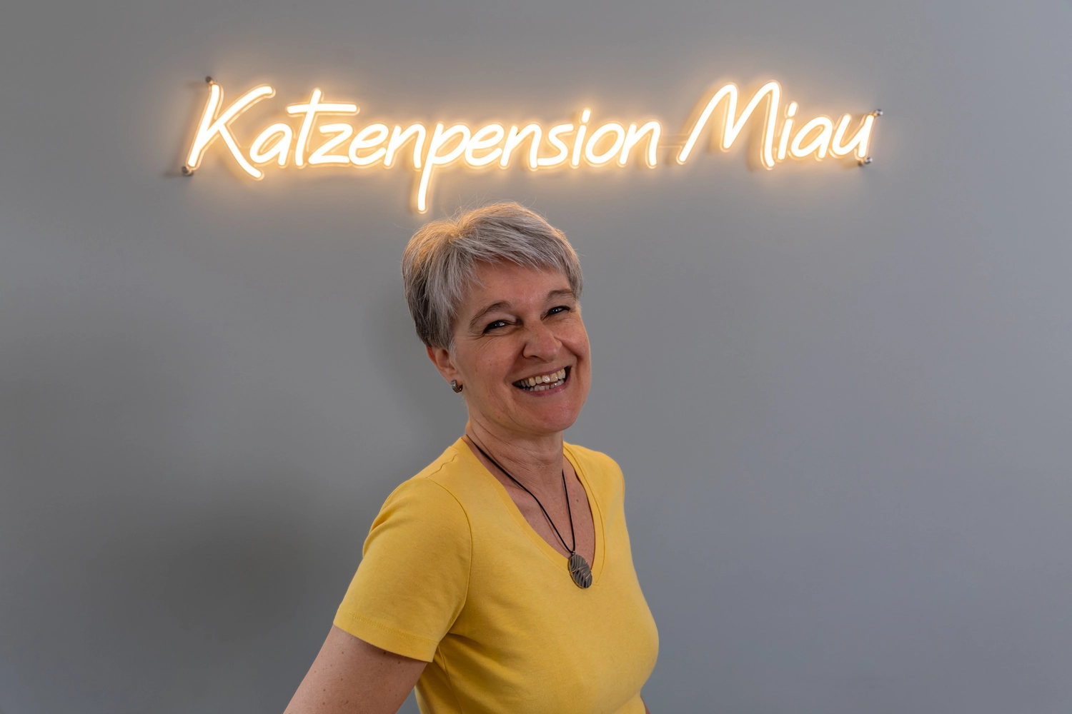 Katze Katzenpension Miau