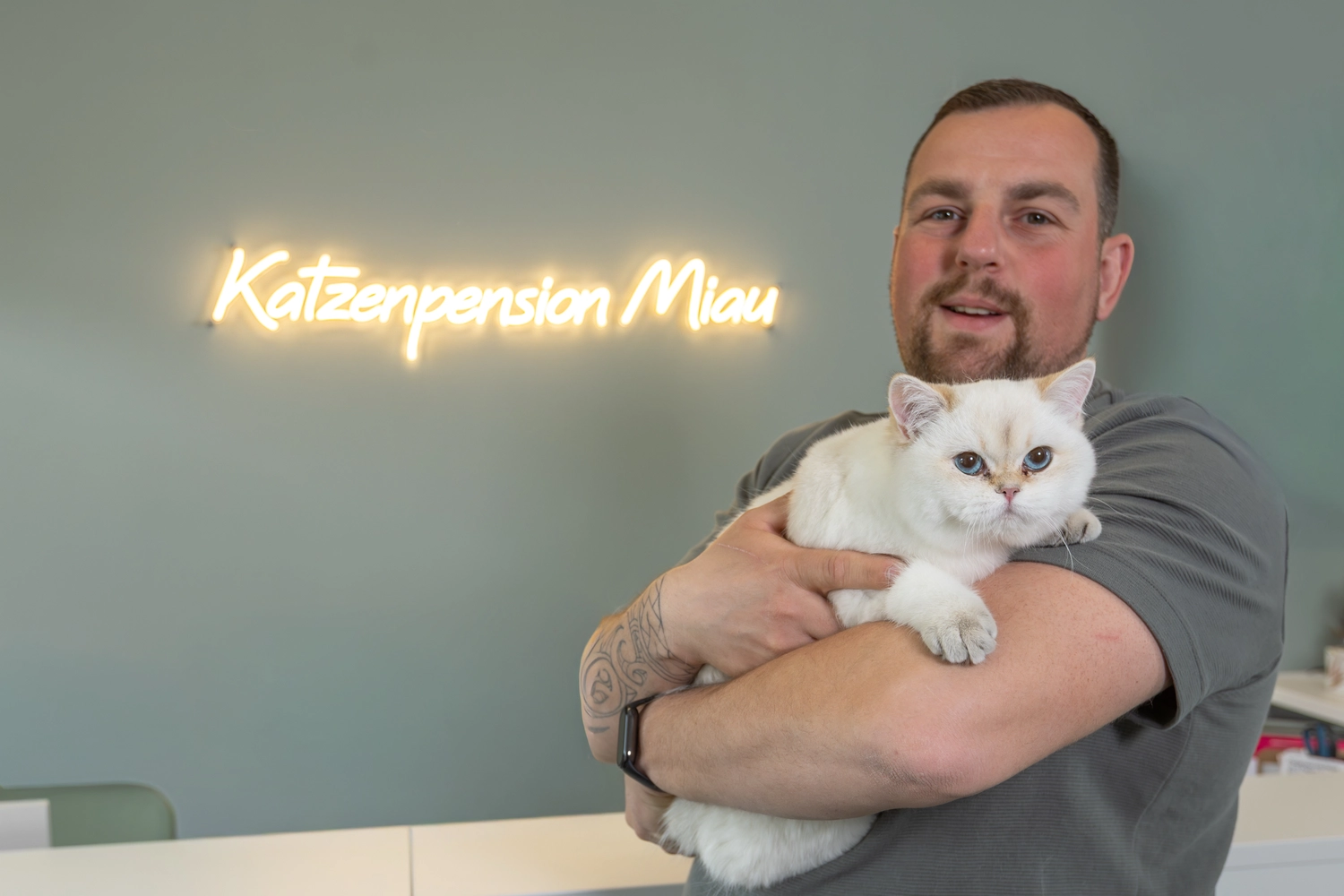 Pension Innen Katzenpension Miau