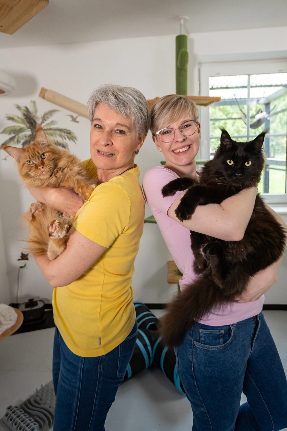 Pension Innen Katzenpension Miau