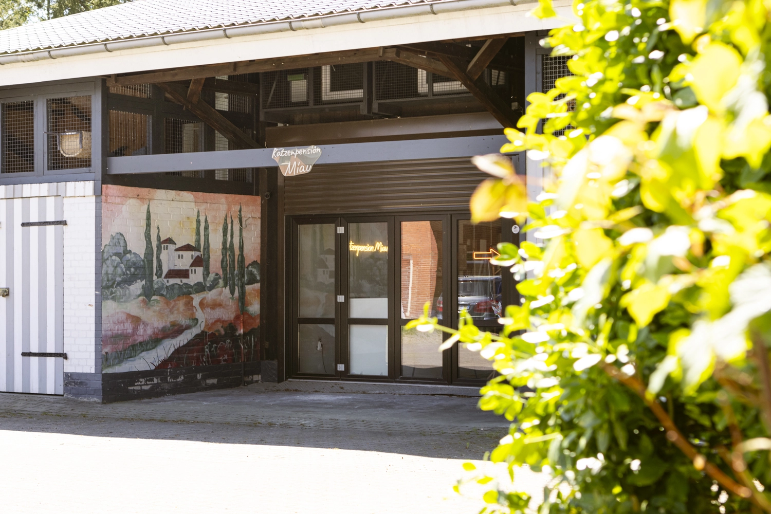 Pension Innen Katzenpension Miau