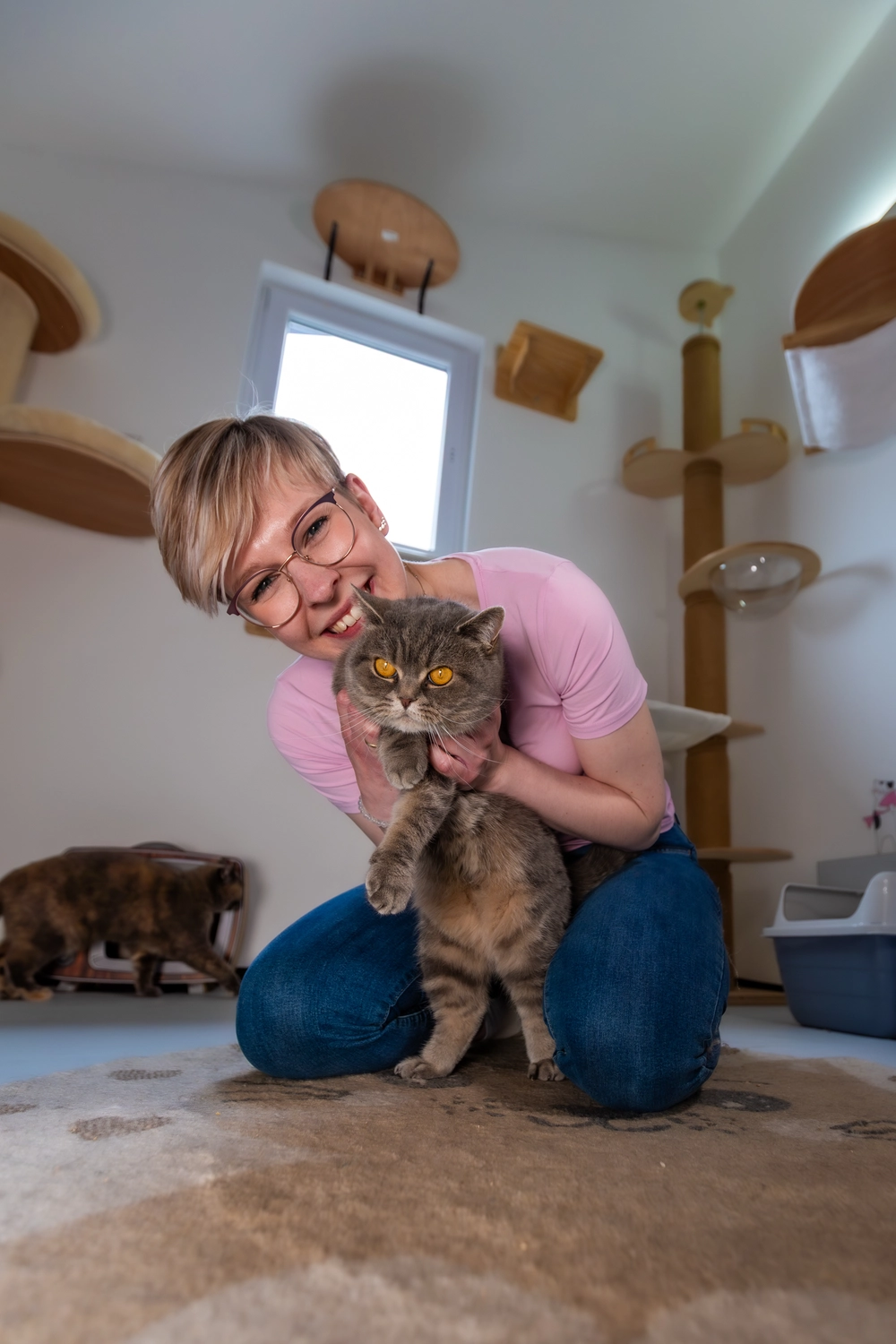 Pension Innen Katzenpension Miau