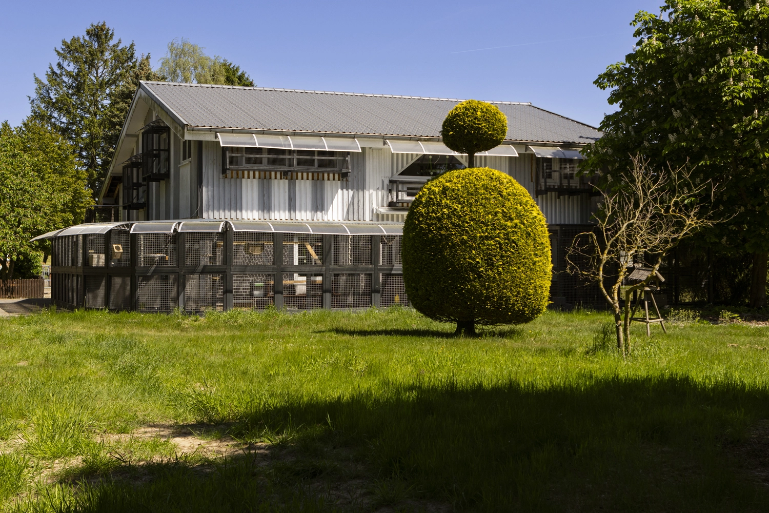 Pension Innen Katzenpension Miau