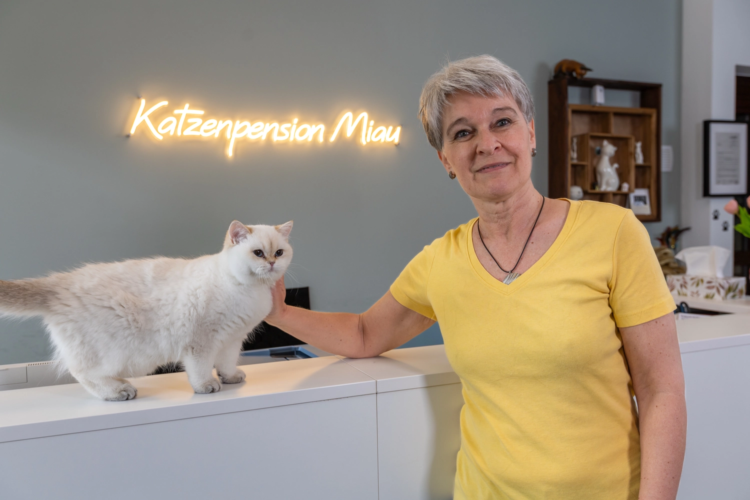 Pension Innen Katzenpension Miau
