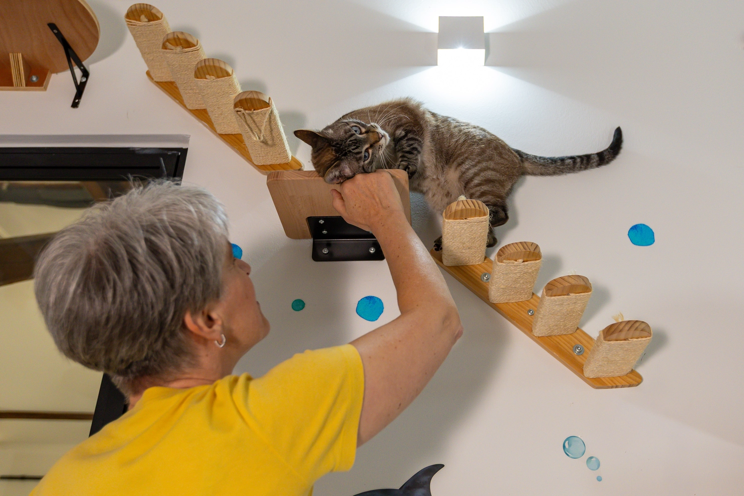 Pension Innen Katzenpension Miau