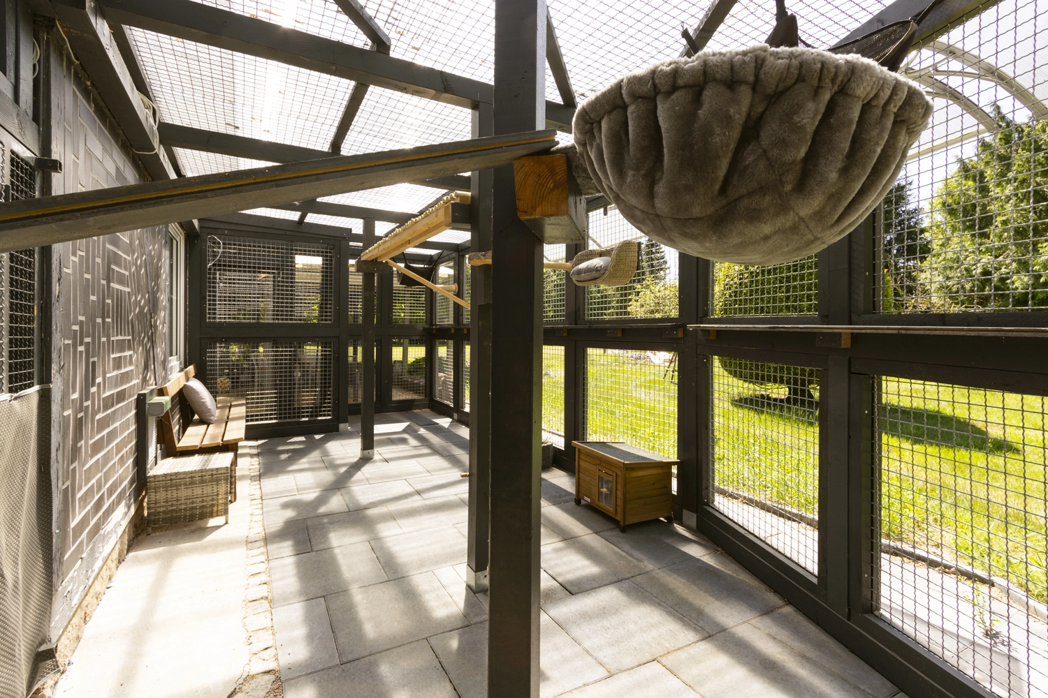 Katze Katzenpension Miau