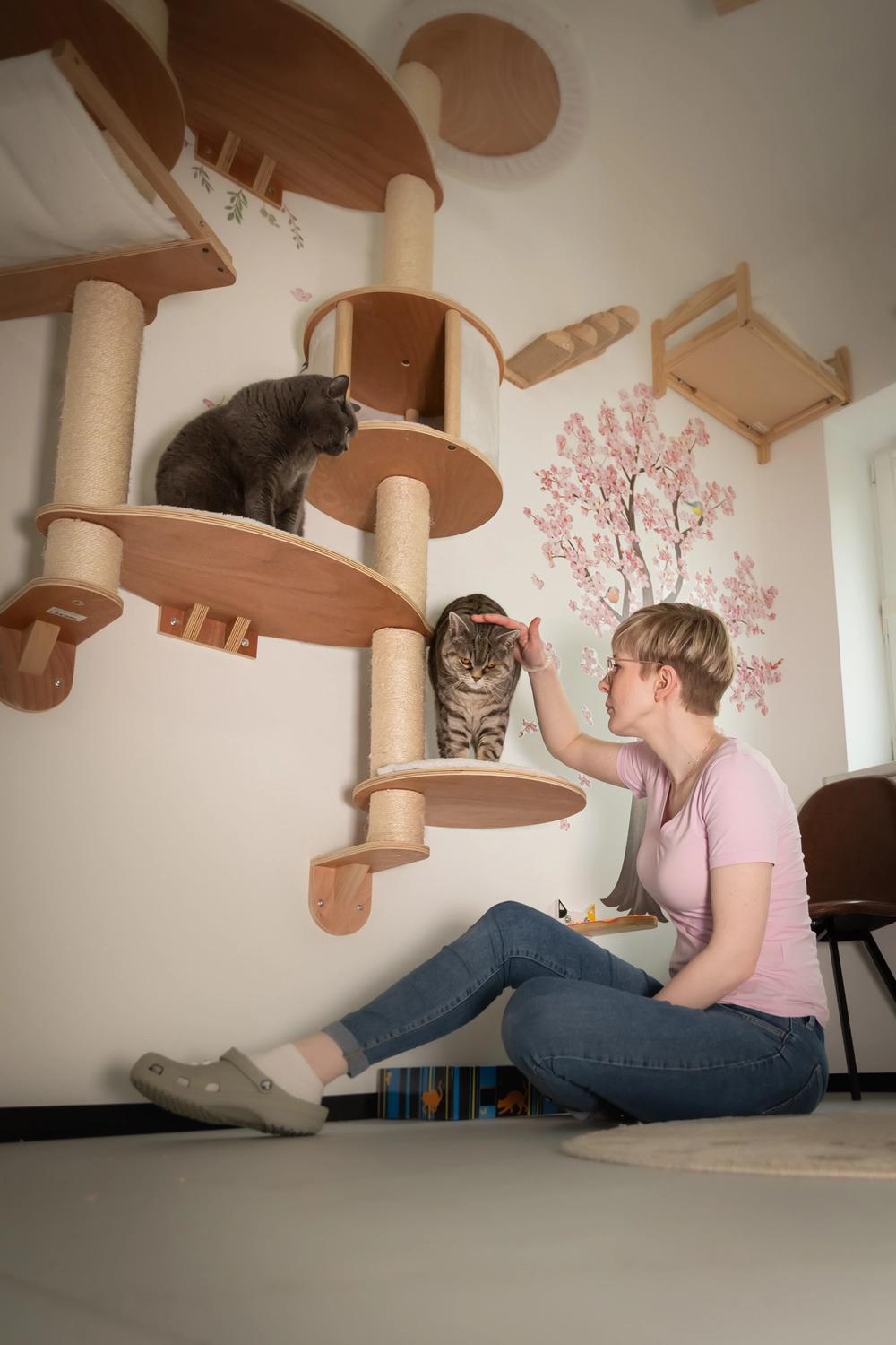 Pension Innen Katzenpension Miau