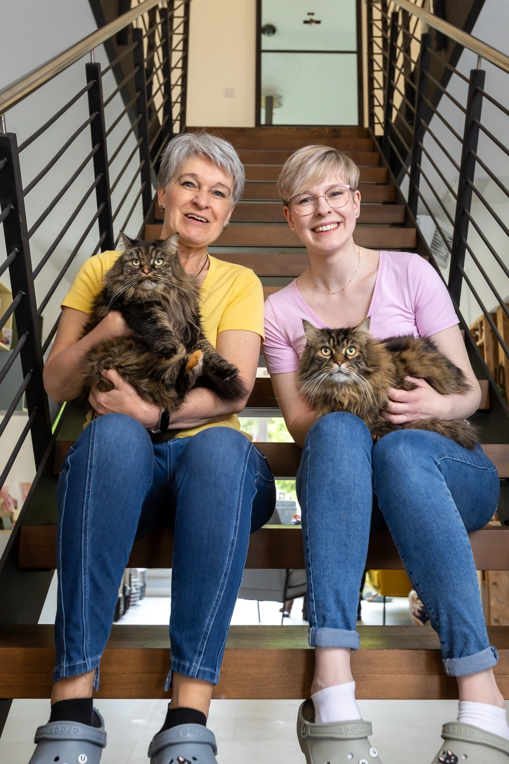 Pension Innen Katzenpension Miau