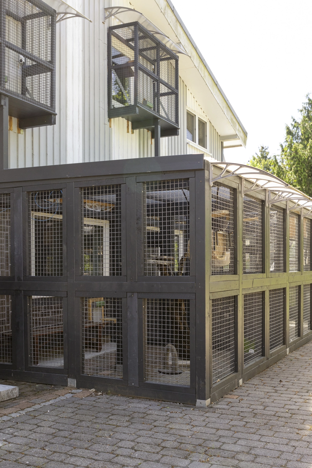 Pension Innen Katzenpension Miau